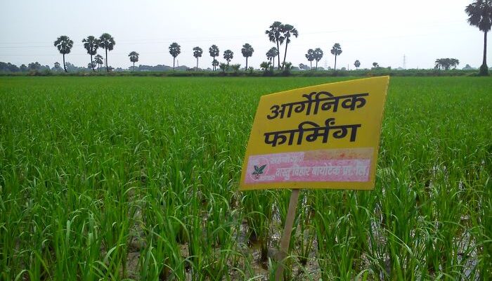 What are the Government initiatives on research and development in organic fertilisers? Read here…