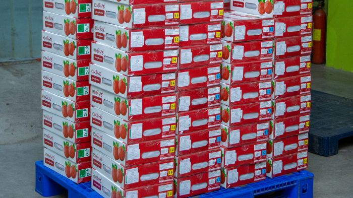 INI Farms exports trail shipment of pomegranate to USA
