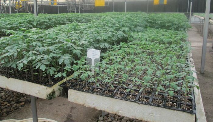 What is the status of adoption of hydroponic farming in India? Read here…