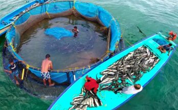 Aquaconnect expands into West Bengal and Uttar Pradesh with tech-enabled aquaculture solutions