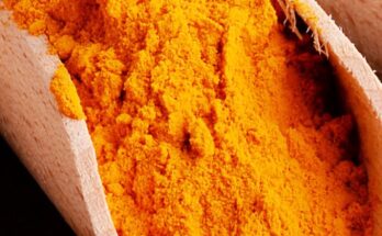 Government of India notifies the setting up of National Turmeric Board
