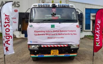 APEDA facilitates first trial shipment of banana to the Netherlands via sea route