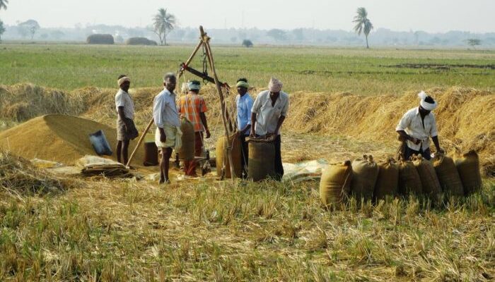 Consistent agricultural growth boosts India’s economic resilience: PHD Chamber