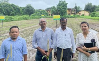 ICRISAT joins hands with Assam Millet Mission for boosting millet production