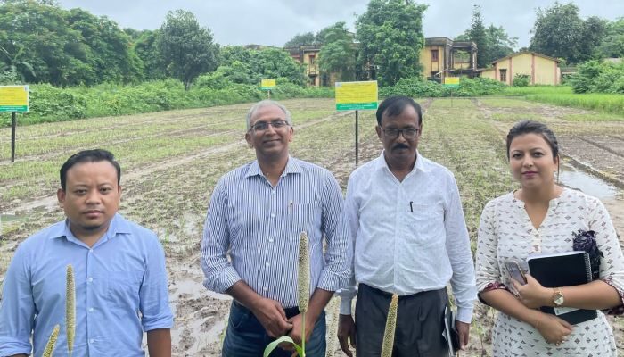 ICRISAT joins hands with Assam Millet Mission for boosting millet production