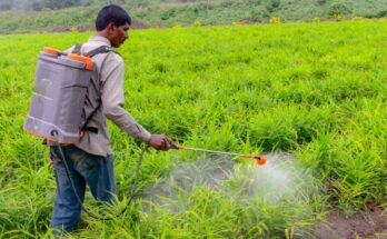 CropLife India welcomes Interim Budget and urges for the full Budget for agrochemical sector