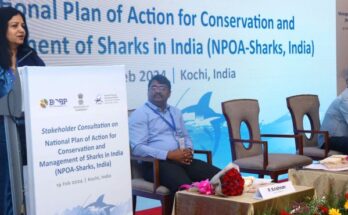 India gears up to adopt National Plan of Action for Conservation of Sharks