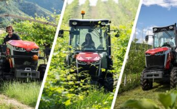 Massey Ferguson launches MF 3 Series Specialty Tractor for vineyards and orchards