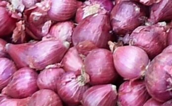 Centre directs NCCF, NAFED to procure 5 LMT of onion for buffer requirement directly from farmers