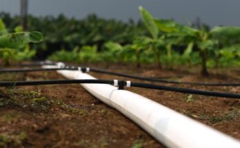 CropX and WiseConn announce digital integration to streamline irrigation management for drip irrigators