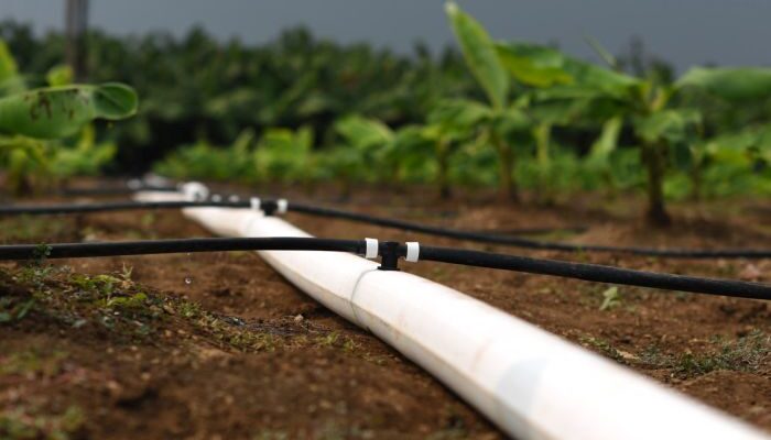 CropX and WiseConn announce digital integration to streamline irrigation management for drip irrigators