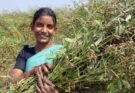 Gender-responsive approach essential to transform India’s agrifood systems: FAO