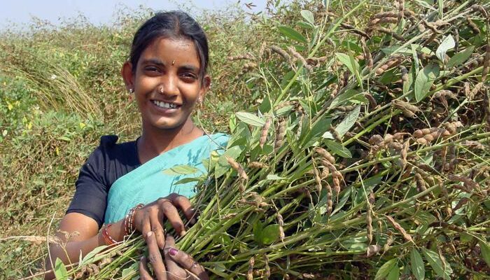 Gender-responsive approach essential to transform India’s agrifood systems: FAO