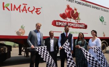 Pomegranate export: APEDA facilitates India’s first commercial trial shipment to the US via sea