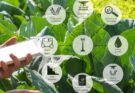 Cropin unveils ‘akṣara’ micro language model for climate-smart agriculture, targeting the Global South