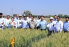 Syngenta India MD Susheel Kumar applauds Haryana farmers for adopting of new technologies