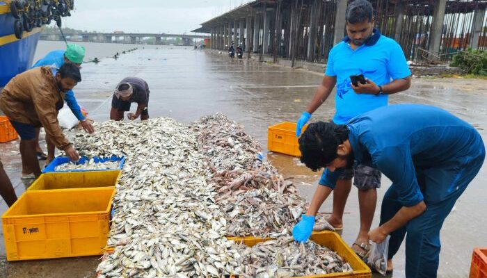 Biodiversity Day: CMFRI survey reveals rich diversity of marine species along Kerala coast