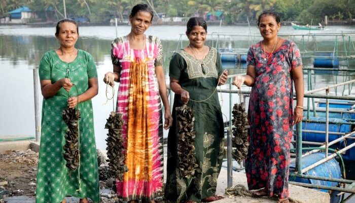 CMFRI Initiative: Women farmers reap bumper harvest of green mussels in Kerala
