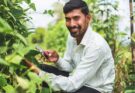 ICRISAT and Plantix's AI-driven diagnostics impact over 30 mn smallholders in 10 years