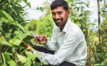 ICRISAT and Plantix's AI-driven diagnostics impact over 30 mn smallholders in 10 years