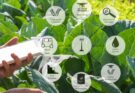 Remote Sensing in Agriculture: Keeping Soil Healthy for a Sustainable Future