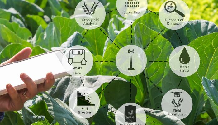 Remote Sensing in Agriculture: Keeping Soil Healthy for a Sustainable Future