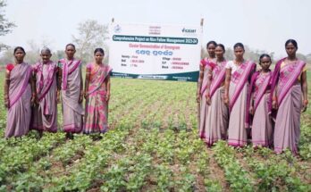 Rice Fallow Cultivation: Women farmers in Odisha lead the change with second crop