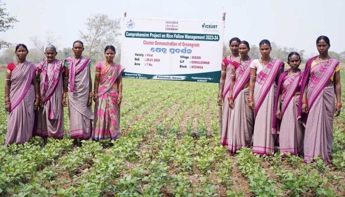 Rice Fallow Cultivation: Women farmers in Odisha lead the change with second crop