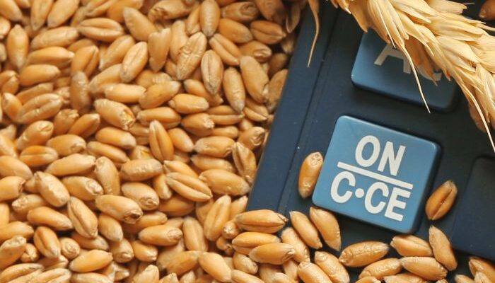 Wheat procurement surpasses last year’s total procurement figures