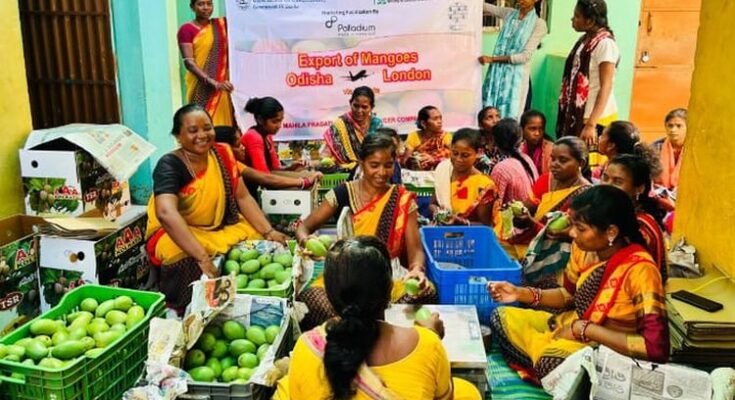 Palladium helps Odisha women farmers to crack London market, incomes soar 40%