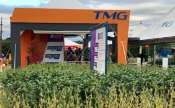 TMG changes nomenclature of soybean cultivars and launches varieties named after Brazilian trees