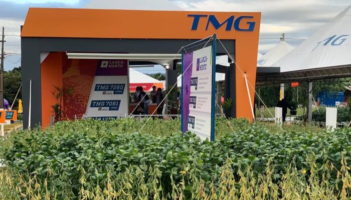 TMG changes nomenclature of soybean cultivars and launches varieties named after Brazilian trees