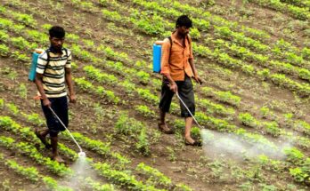 Proposed doubling of custom duty on agrochem formulations will hurt farmers’ interest: CropLife India