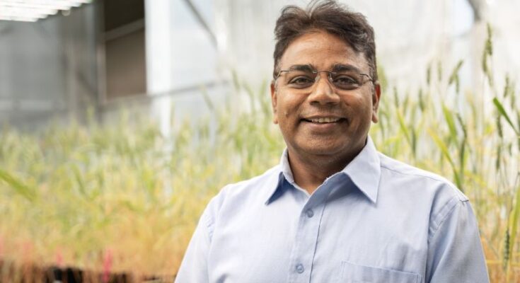 Global Fertiliser Crisis and the Future of Agriculture