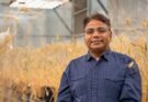 Indian-Australian scientist Rajeev Varshney named among world's Top Agri-food Pioneers