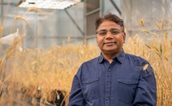 Indian-Australian scientist Rajeev Varshney named among world's Top Agri-food Pioneers