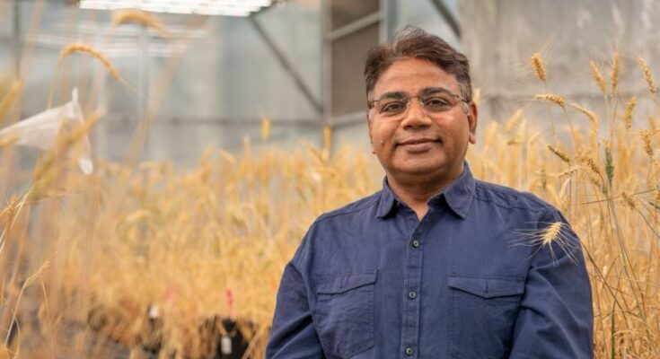 Indian-Australian scientist Rajeev Varshney named among world's Top Agri-food Pioneers